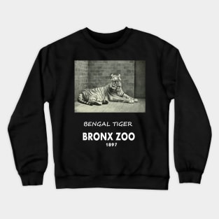 ART OF ZOO - BENGAL TIGERPHOTOGRAPH ~BRONX ZOO -1897 Crewneck Sweatshirt